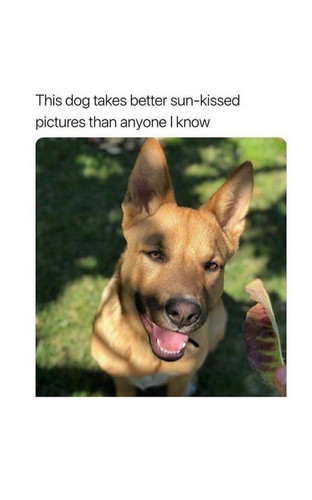 608219326 4373060822974146 87261119538186335 n.jpg