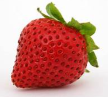 Screenshot 2026 01 07 124926.png