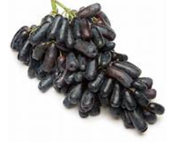 Screenshot 2026 01 07 125322.png