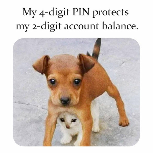 612062161 1466316365503974 1892416916407174290 n.jpg