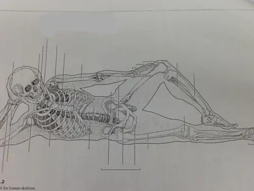 tcB8C5KQ AdHv68Htk4Q5bb0FjBTQewrn6Rf0w rZng.webp