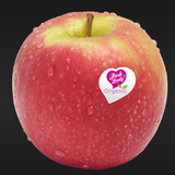 Screenshot 2026 01 07 110720.png