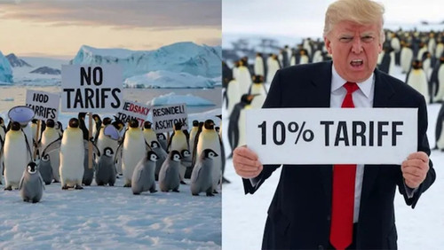 https://iili.io/fOpw9cX.md.jpg