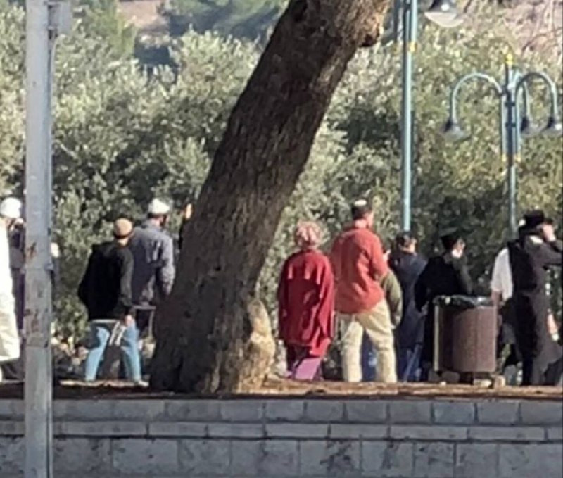 مستوطنون يقتحمون باحات المسجد الأقصى المبارك، تحت حراسة شرطة الاحتلال في هذه اللحظات...