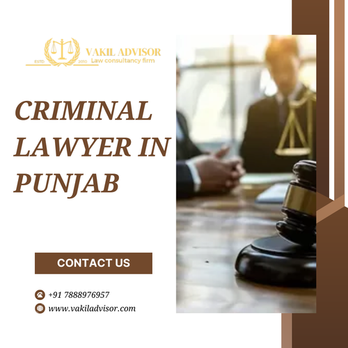 Criminal Lawyer in Punjab (3).png