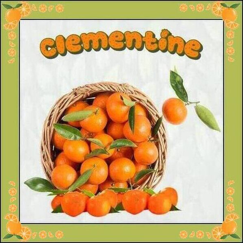 CLEMENTINE (5).jpg