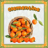CLEMENTINE (5)