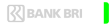 BRI.png