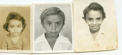 ÁRVORE GENEALÓGICA DA MINHA FAMÍLIA.jpg