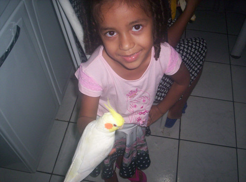 ÁRVORE GENEALÓGICA DA MINHA FAMÍLIA.jpg