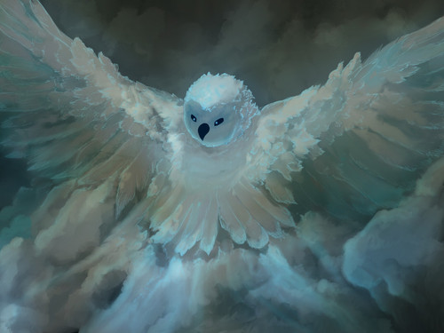 symberly schuler img 0753.jpg