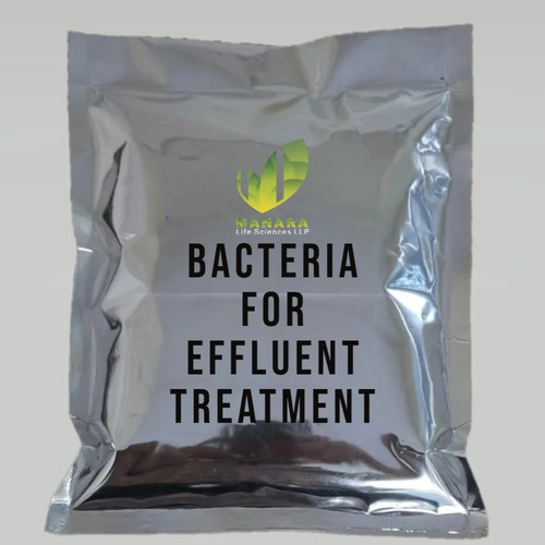 etp bacteria.jpg
