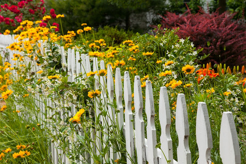 Decorative Fence KY.jpg