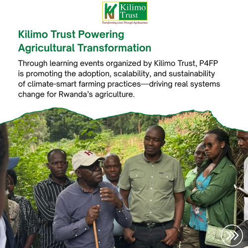 G lUzGxXMAEqzBb?format=jpg.jpg