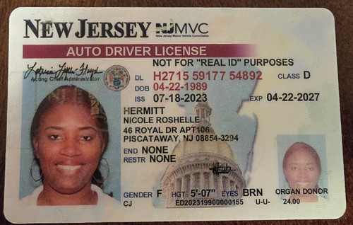 Nicole Hermitt license image.jpg