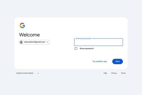 2026 01 26T12 42 35 373Z gmail email entered password.png
