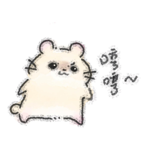 Image 1769140739211 660.jpg