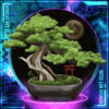 bonsai nft farm.png