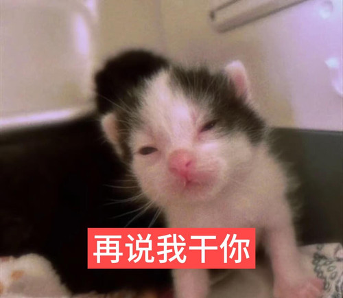 Image 1769140735932 429.jpg