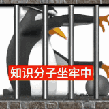 Image 1769140736163 121.gif