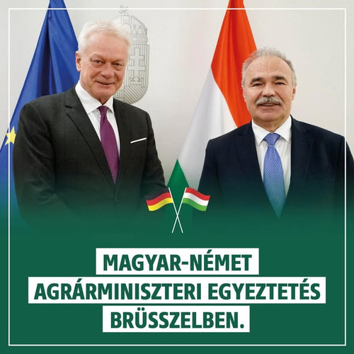 622287638 1434840531346342 6040348780618718977 n.jpg?stp=dst jpg s590x590 tt6& nc cat=111&ccb=1 7& n.jpg