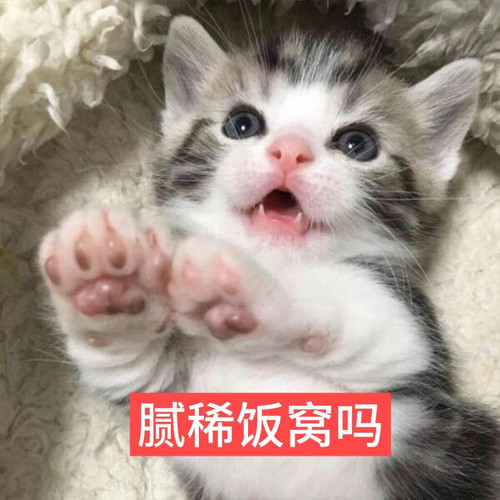 Image 1769140741444 737.jpg