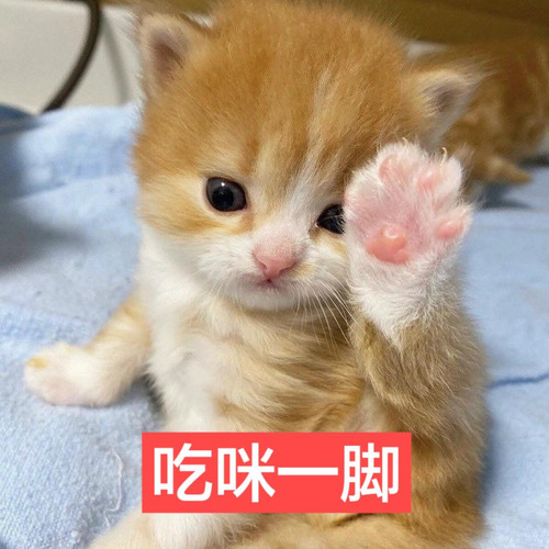 Image 1769140741019 275.jpg