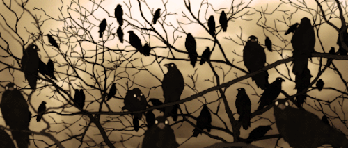 85B2B981 02C0 4954 83CA F04FF298B358.gif