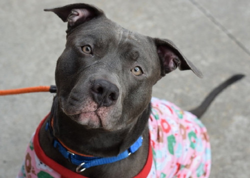 G ipxw3XEAAlvN2?format=jpg.jpg