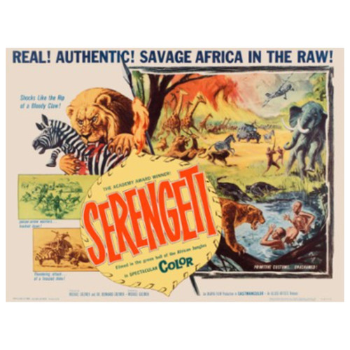 Untitled design (54).jpg