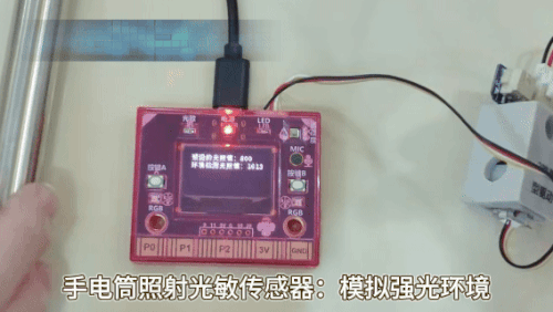 光照组.gif