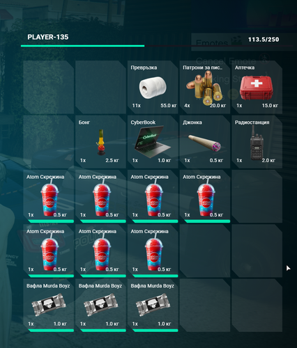 FiveM GTAProcess 256opECdeB.png
