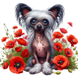 Chinese Crested Blumen (4)