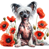 Chinese Crested Blumen (5)