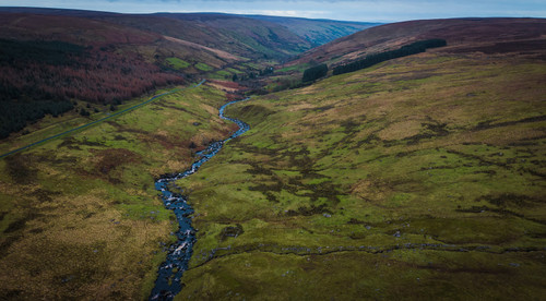 DJI 20260124122958 0665 D.jpg