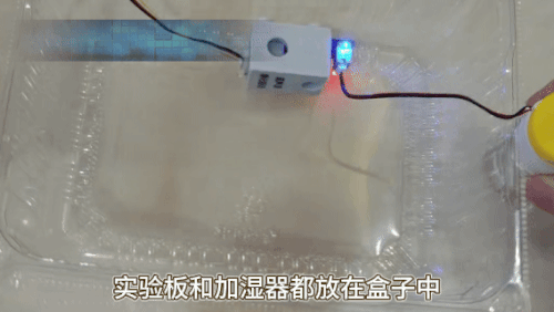 加湿组.gif