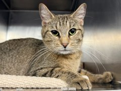 G AimtHXoAAjVsk?format=png.png