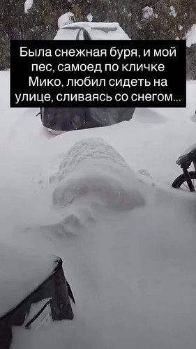 4Ef7HTPYb6m6a94W.jpg