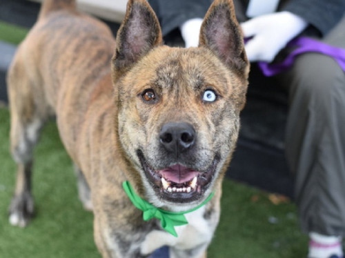 G lqQBW4AA56IG?format=jpg.jpg