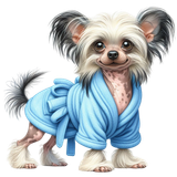 Chinese Crested Mantel (4)