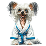 Chinese Crested Mantel (13)