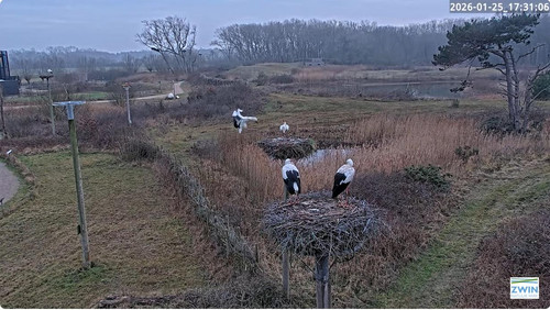 MWSnap193.jpg