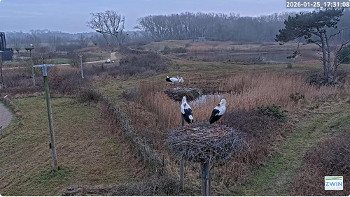 MWSnap194.jpg