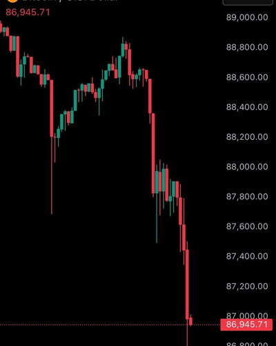 photo 4155 1769367080 converted converted.jpg