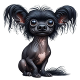 Chinese Crested1 (19)