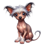 Chinese Crested1 (17)
