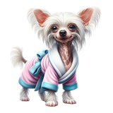 Chinese Crested Mantel (16)