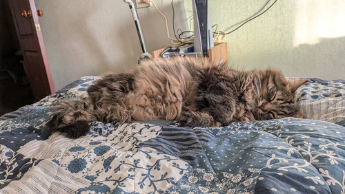 G iGRTKWIAENJEH?format=jpg.jpg