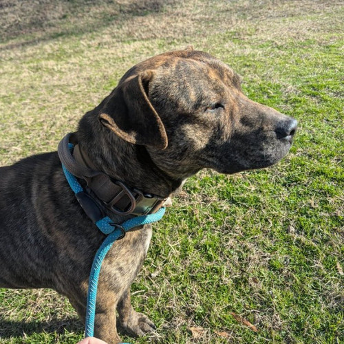 G fApOgWkAE3fia?format=jpg.jpg