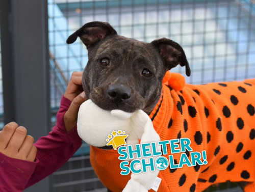 G n17aXAAAcKlS?format=jpg.jpg